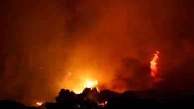 إسبانيا.. حريق غابات يجبر السلطات على إجلاء 850 شخصا