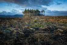 تقرير أوروبي يوضح الخطر المتزايد للتغير المناخي على الصحة