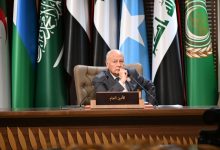 أبو الغيط: العدوان على فلسطين يستدعي وجود تحرك سياسي عربي ودولي