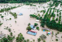 ارتفاع ضحايا فيضانات إندونيسيا إلى 50 شخصًا والبحث عن 27 مفقودًا