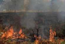 377 حادثًا.. مخاوف من زيادة حرائق الغابات في باكستان
