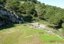 تقرير: عام 2023 شهد مقتل 200 شخص من المدافعين عن البيئة حول العالم