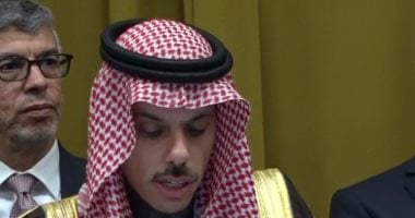 السعودية والجزائر تؤكدان أهمية وقف الانتهاكات الإسرائيلية ضد الشعب الفلسطينى