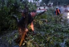 إعصار "أنيت" يسيطر على النمسا بقوة.. وسلطات العاصمة تطالب المواطنين بالبقاء بالمنزل