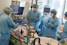 تسجيل أول إصابة بشرية بإنفلونزا الطيور فى أمريكا دون الاتصال بالحيوانات