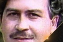 كولومبيا تأمر بالتخلص من أفراس نهر تعود ملكيتها لزعيم عصابة المخدرات إسكوبار