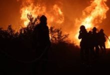 تضرر ما يقارب 30 مبنى بسبب حرائق الغابات فى جنوب روسيا