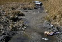 ناميبيا تذبح مئات الحيوانات البرية لمواجهة أسوأ موجة جفاف ومجاعة