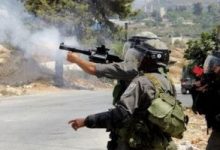 تفاصيل مقتل متضامنة أمريكية برصاص الاحتلال خلال مظاهرات جنوب نابلس