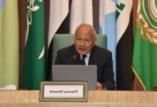 أبو الغيط يؤكد أهمية اللجنة الوزارية العربية الاسلامية مع العاهل الأردنى