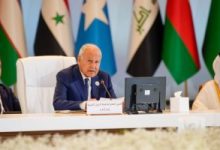 أبو الغيط يؤكد دعم الجامعة العربية لموقف مصر الرافض للتواجد الإسرائيلى على حدودها مع فلسطين