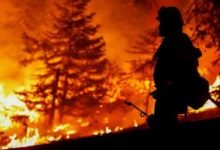 البرازيل: رجال الإطفاء يحاولون السيطرة على حريق منتزه برازيليا الوطنى