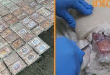 بيرو تضبط 3 أطنان من الكوكايين متجه لأوروبا وسط شحنات من اللحوم والتوابل