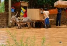 مقتل 273 على الأقل ونزوح 700 ألف شخص بسبب فيضانات النيجر