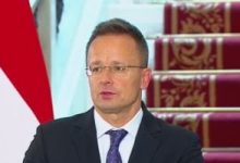 وزير خارجية المجر: مصر أحد أهم ضمانات أمن أوروبا والستار الواقى للقارة