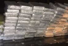 إحباط تهريب طن كوكايين مخبأ بشحنة دقيق فى كوستاريكا متجهة إلى أوروبا