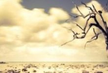 مسح: تفاقم أزمة الأمن الغذائى والتضخم أبرز تحديات جنوب أفريقيا