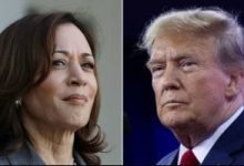 انتخابات الرئاسة الأمريكية.. استطلاعات الرأى تقلق هاريس وترامب يحقق مكاسب