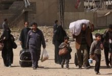 نزوح 38 أسرة يمنية لأسباب أمنية واقتصادية