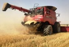 وسائل إعلام: روسيا تعلق إمدادات القمح إلى سوريا