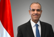 وزير الخارجية يؤكد أهمية التوصل لوقف فورى لإطلاق النار فى غزة ونفاذ المساعدات