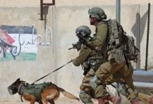 قوات الاحتلال الإسرائيلي تعتقل ثلاثة شبان من رام الله