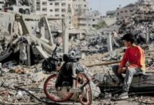 الأمم المتحدة الإنسانى: نحشد الإمدادات والموارد لتوسيع نطاق المساعدات فى غزة