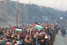 المجلس النرويجي للاجئين: المنظمات الإنسانية تواجه عقبات هائلة من الاحتلال في غزة