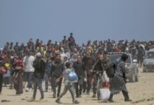 الجمعية المصرية للدراسات التاريخية ترفض تهجير الشعب الفلسطينى وتصفية قضيته