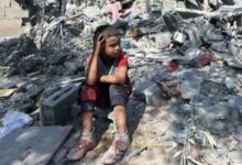 سفيرة فلسطين فى أيرلندا: غزة جزء لا يتجزأ من فلسطين ولن نتركها أبدا