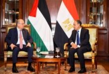 وزير الخارجية يستعرض جهود مصر لضمان استدامة اتفاق وقف إطلاق النار فى غزة